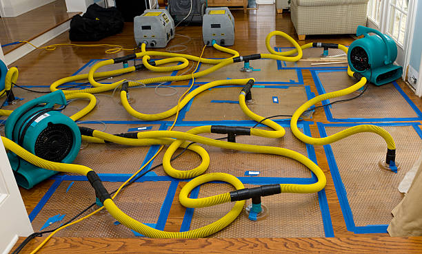 Professional Water Extraction technician working in Gates, TN